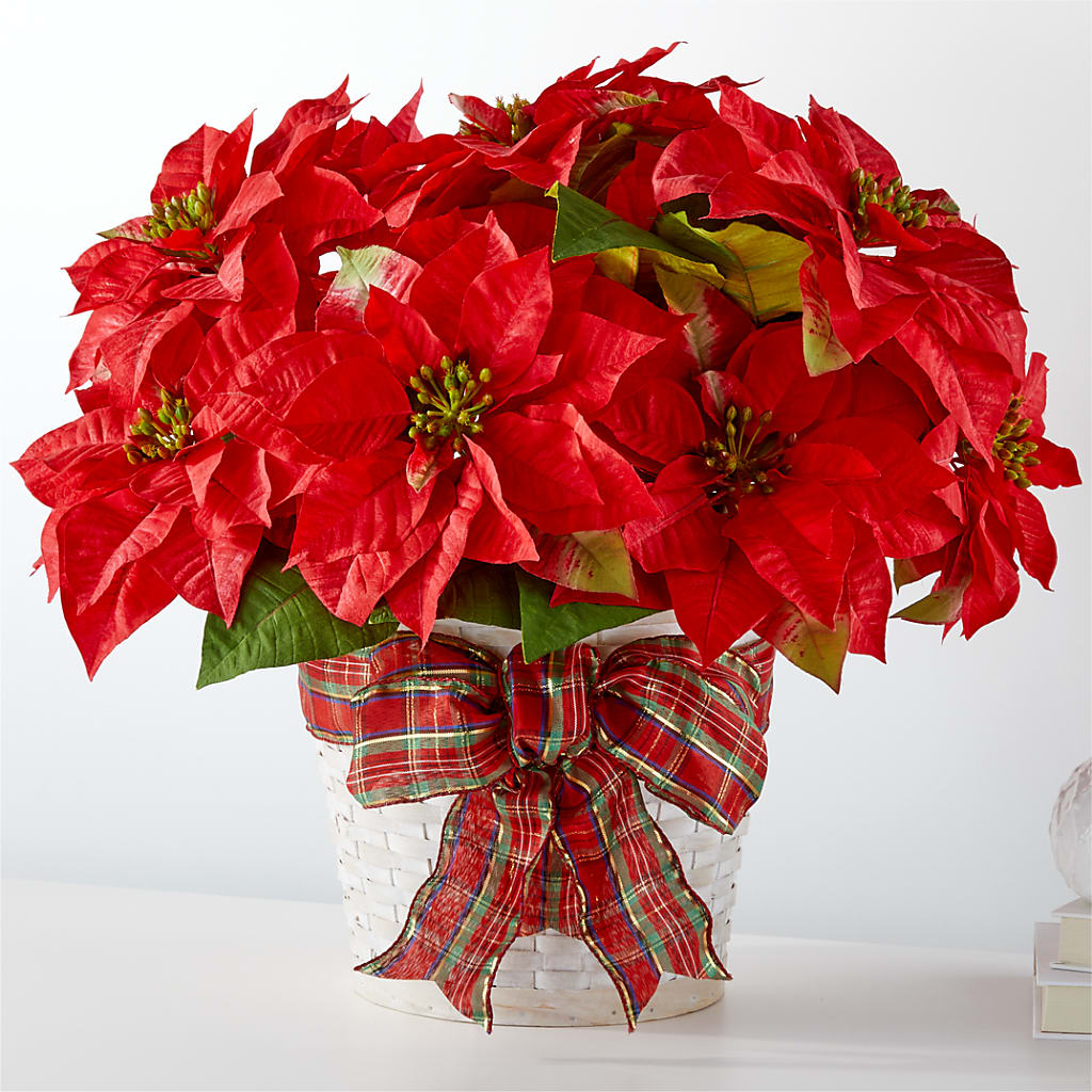 Happiest Holidays Poinsettia – FRY'S, Tolleson AZ