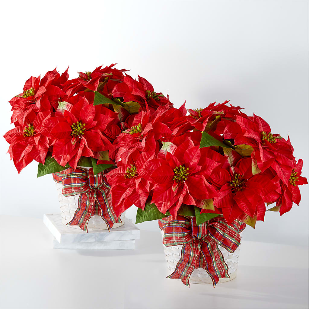 Happiest Holidays Poinsettia Bundle – FRY'S, Tolleson AZ