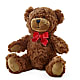 Adorable Plush Bear – FRY'S, Tolleson AZ