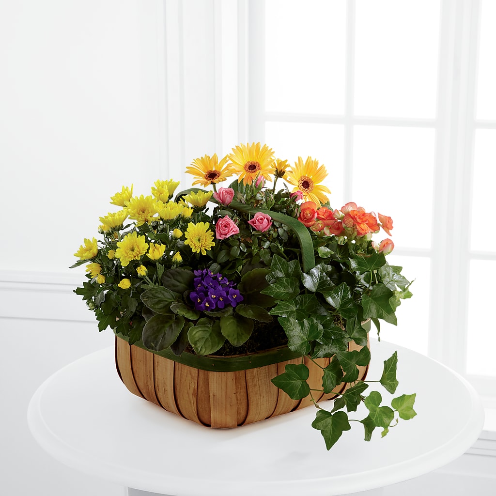 Gentle Blossoms Basket – FRY'S, Tolleson AZ