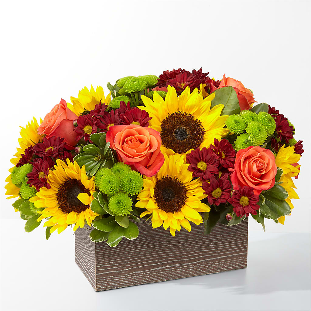 Happy Harvest Garden – FRY'S, Tolleson AZ