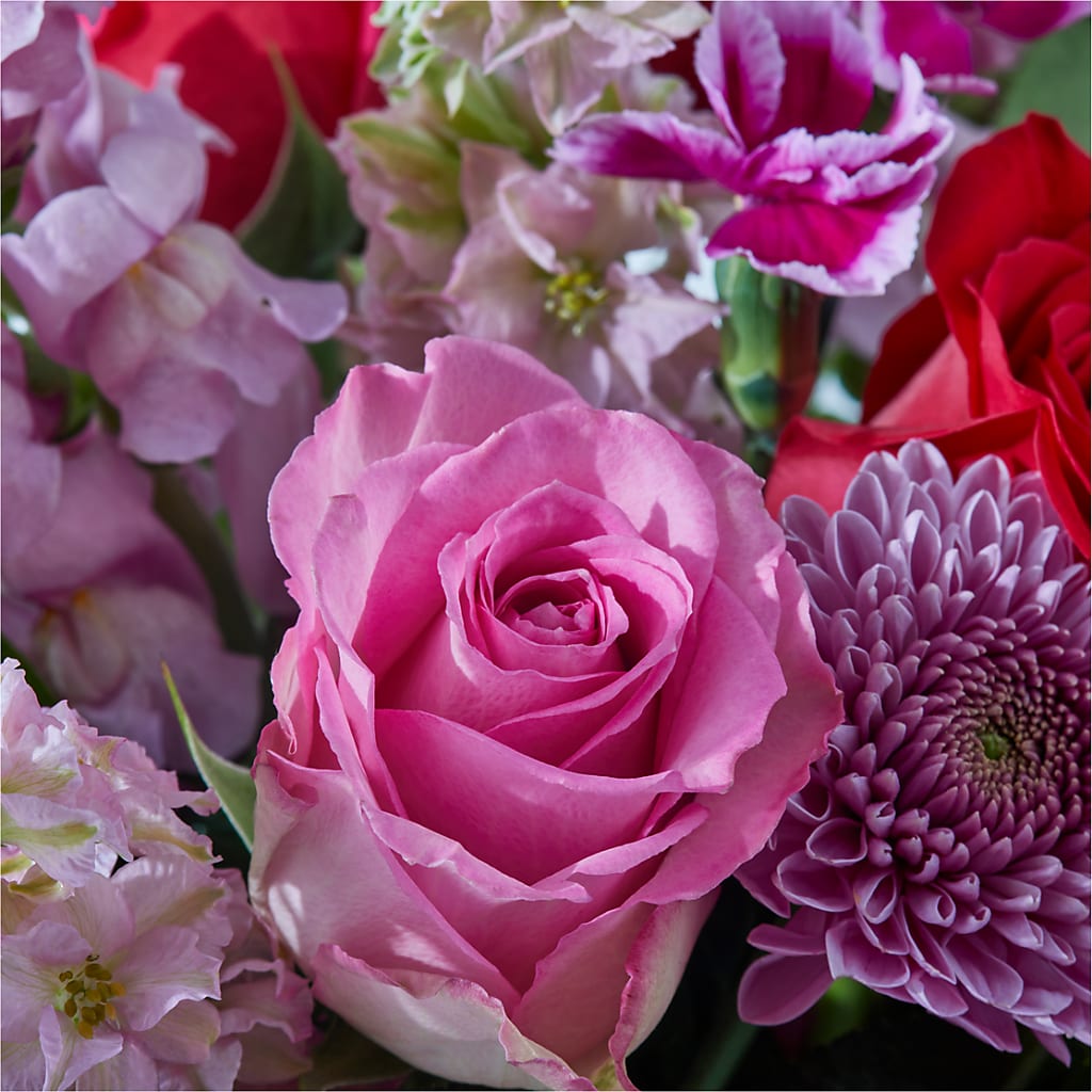 Better Together - A Luxury Florist Original – FRY'S, Tolleson AZ