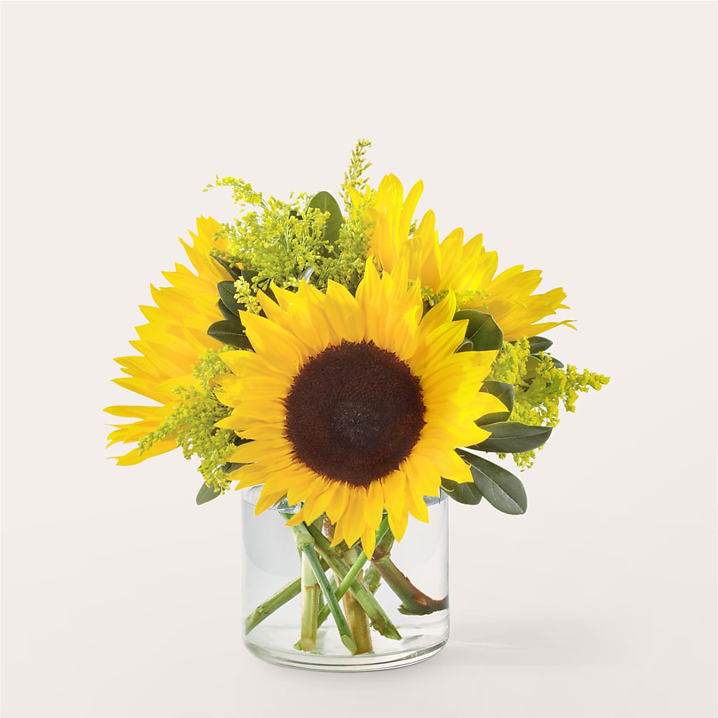 Beaming Sunflower Bouquet – FRY'S, Tolleson AZ