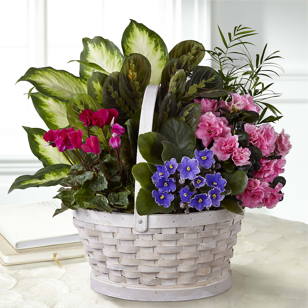 Peaceful Garden Planter – FRY'S, Tolleson AZ