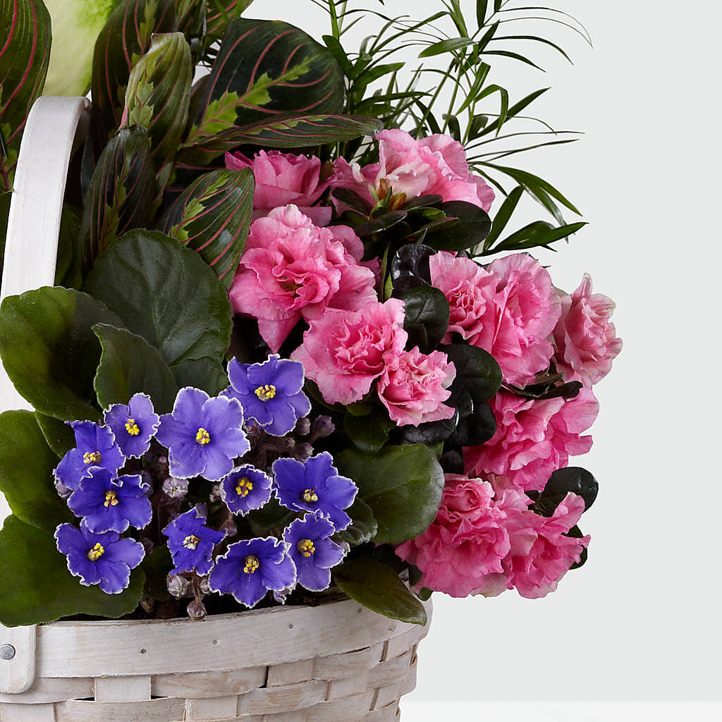 Peaceful Garden Planter – FRY'S, Tolleson AZ