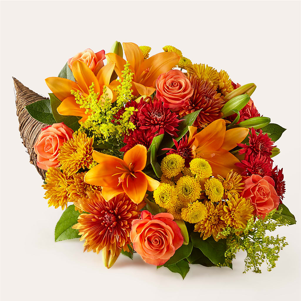 Feast of Color Cornucopia – FRY'S, Tolleson AZ
