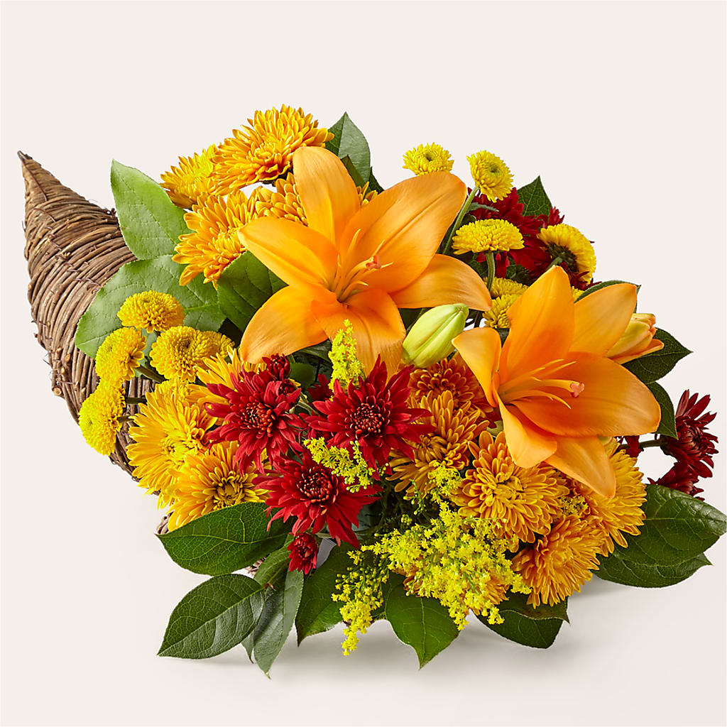 Feast of Color Cornucopia – FRY'S, Tolleson AZ
