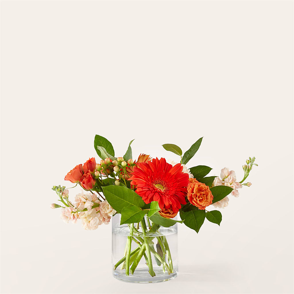 Paloma Please Bouquet – FRY'S, Tolleson AZ