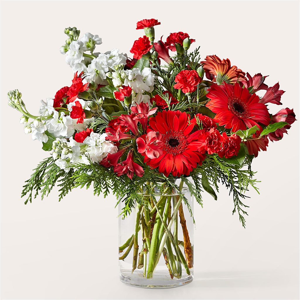 Holidaisy Bouquet – FRY'S, Tolleson AZ