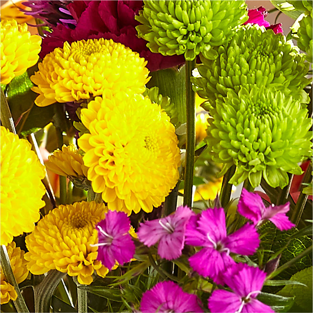 Bold & Bright – A Florist Original – FRY'S, Tolleson AZ