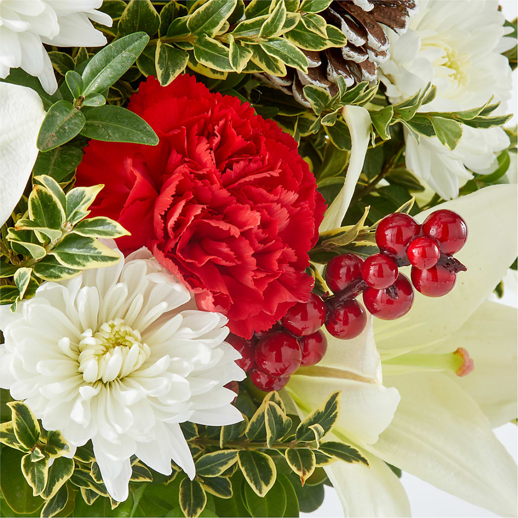 Festive Moments Tree – FRY'S, Tolleson AZ
