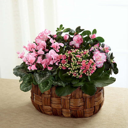 Pink Assortment – FRY'S, Tolleson AZ