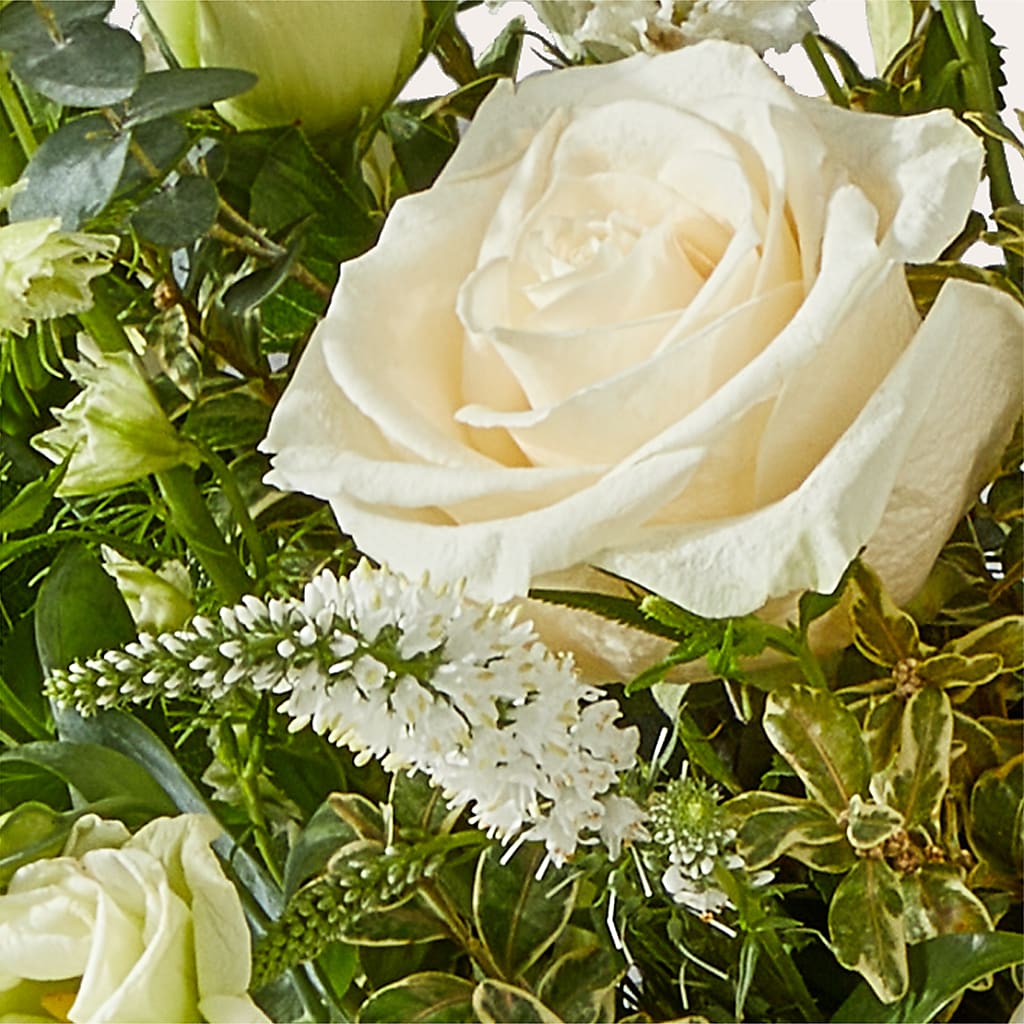 Cashmere Bouquet – FRY'S, Tolleson AZ