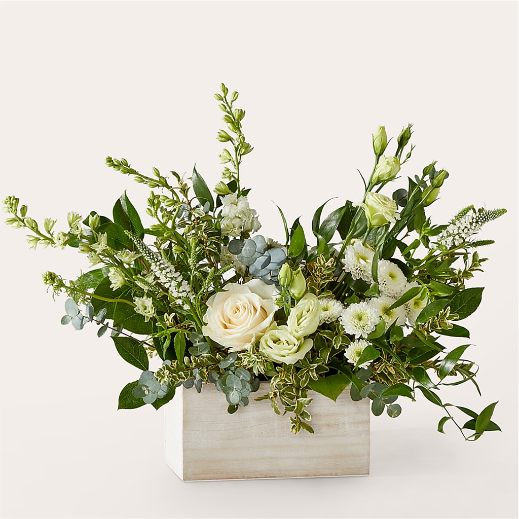 Cashmere Bouquet – FRY'S, Tolleson AZ