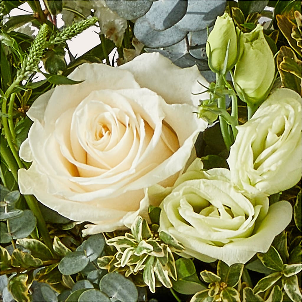 Cashmere Bouquet – FRY'S, Tolleson AZ