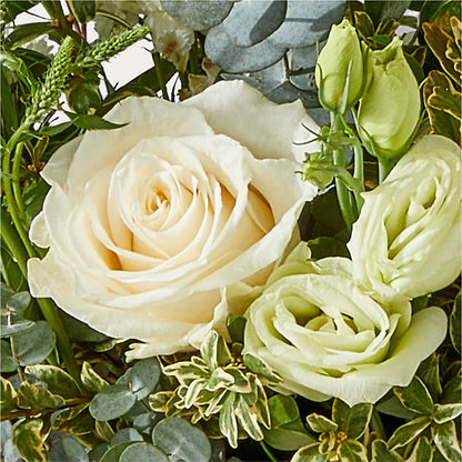 Cashmere Bouquet – FRY'S, Tolleson AZ