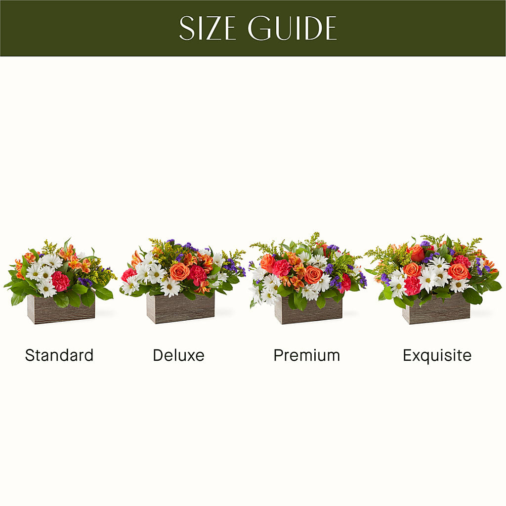 Oopsie Daisy Box Bouquet – FRY'S, Tolleson AZ