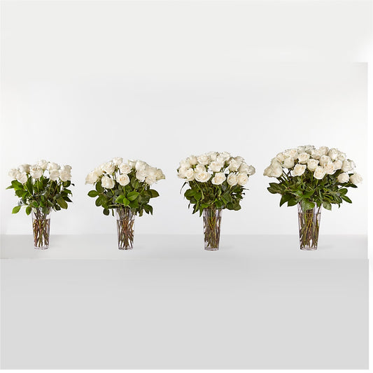 Long Stem White Rose Bouquet – FRY'S, Tolleson AZ