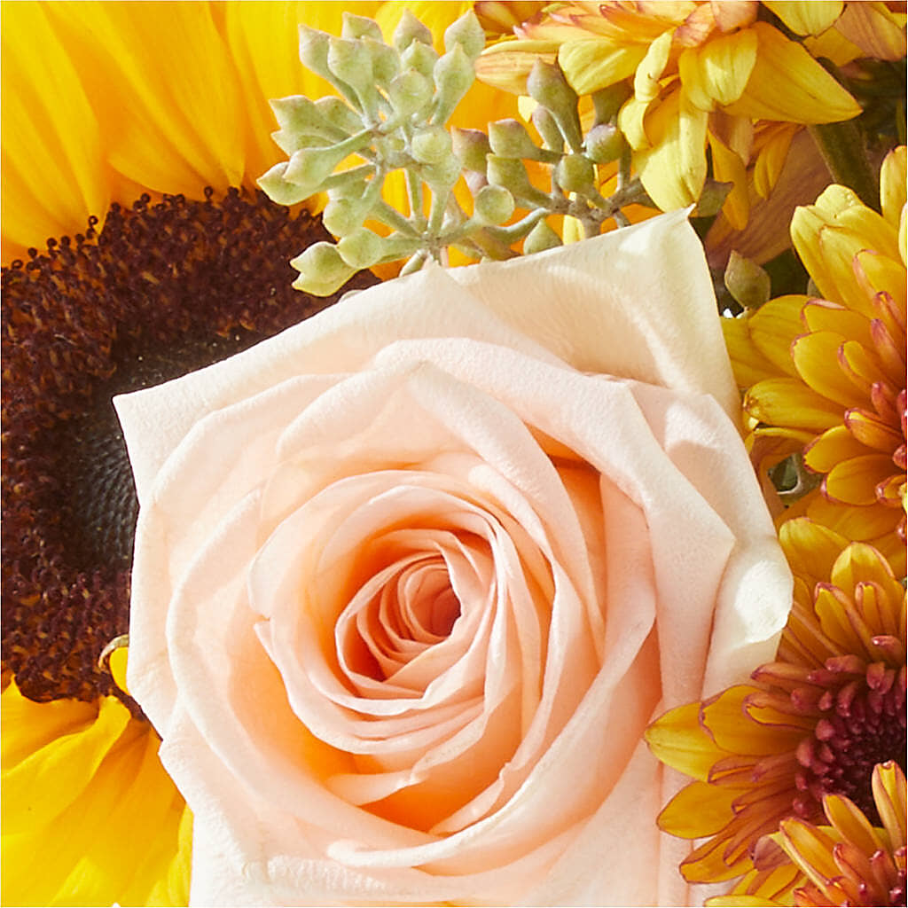 Pumpkin to Talk About Bouquet – FRY'S, Tolleson AZ