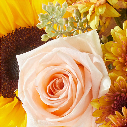 Pumpkin to Talk About Bouquet – FRY'S, Tolleson AZ