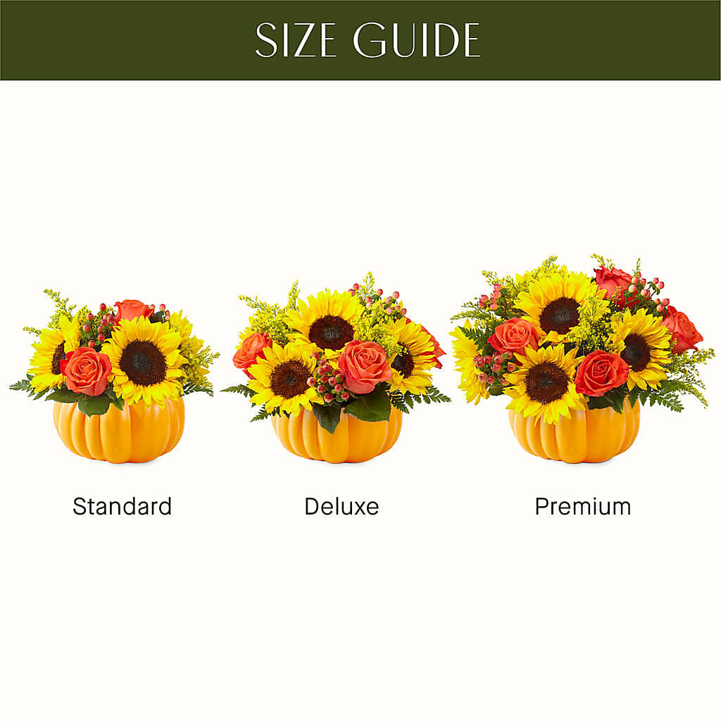 Pick of the Patch Pumpkin Bouquet – FRY'S, Tolleson AZ