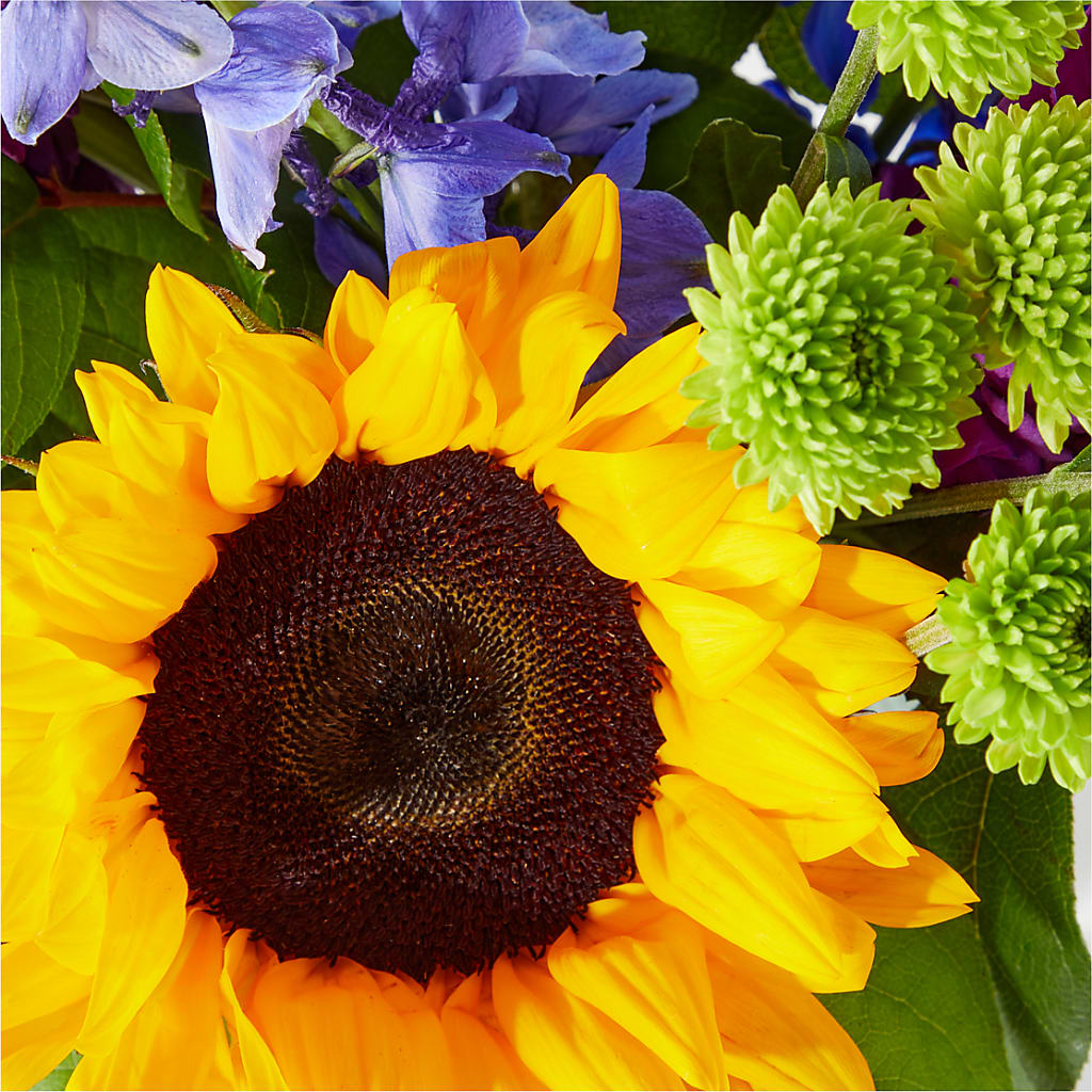 Catching Rays Bouquet – FRY'S, Tolleson AZ