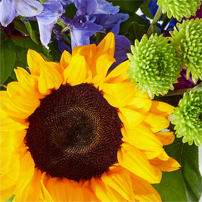 Catching Rays Bouquet – FRY'S, Tolleson AZ