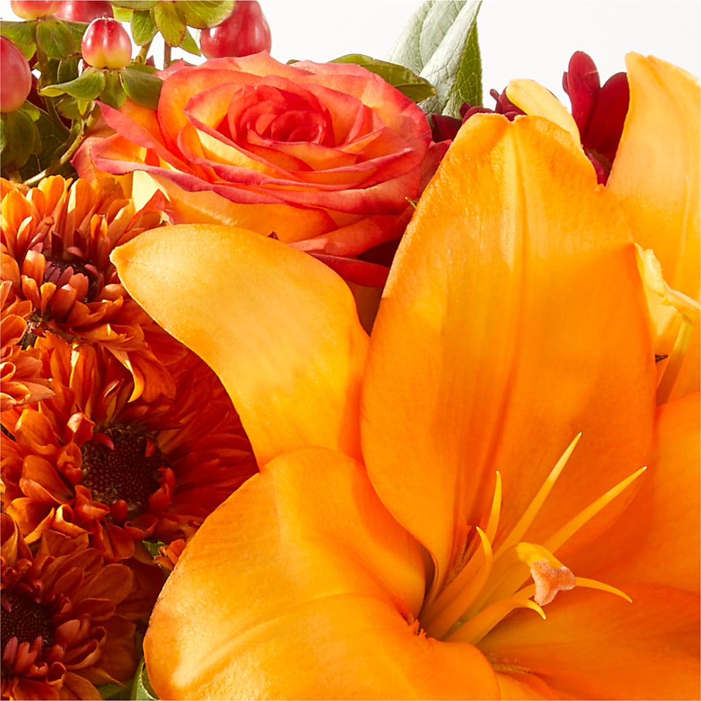 Backyard Bonfire Bouquet – FRY'S, Tolleson AZ