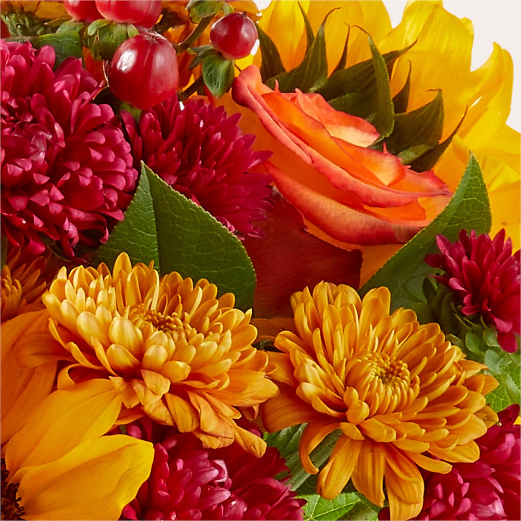 Sweater Season - A Florist Original – FRY'S, Tolleson AZ
