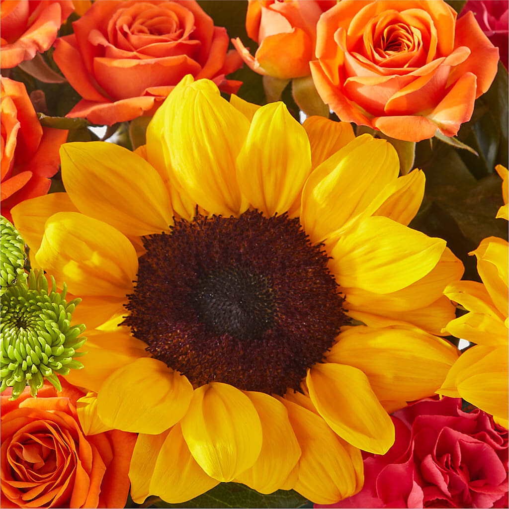 Sun-drenched Blooms Box Bouquet – FRY'S, Tolleson AZ