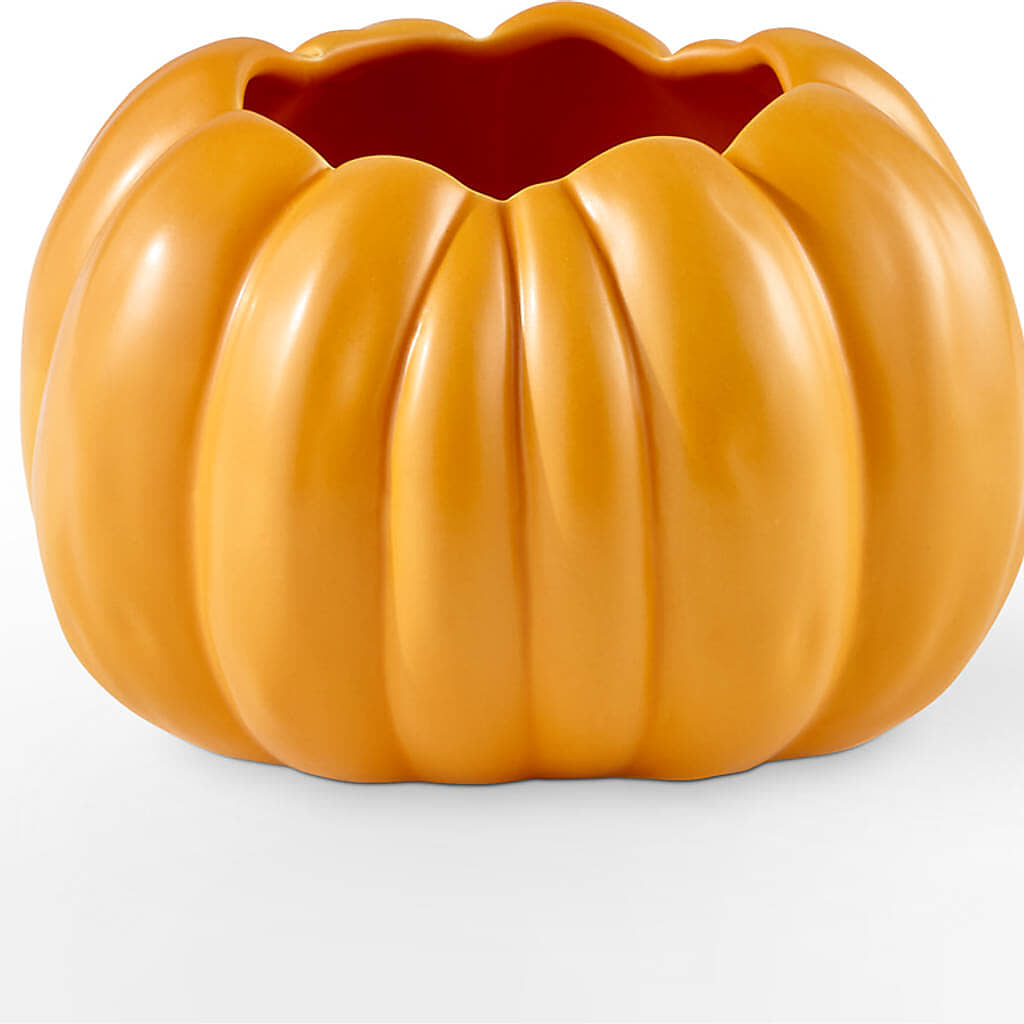 Golden Gourd Pumpkin Bouquet – FRY'S, Tolleson AZ