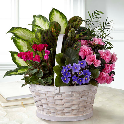 Peaceful Garden Planter – FRY'S, Tolleson AZ