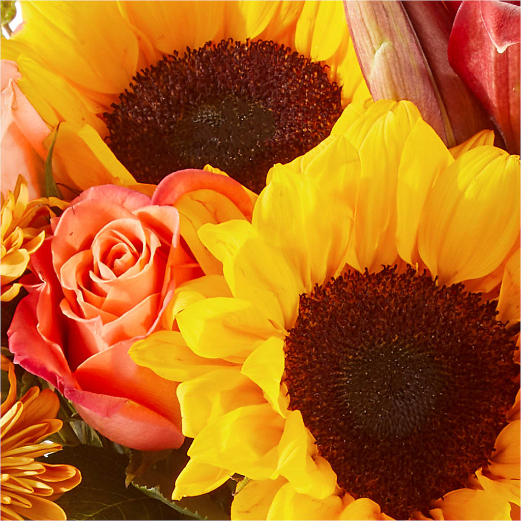 Acorn Lane Bouquet – FRY'S, Tolleson AZ