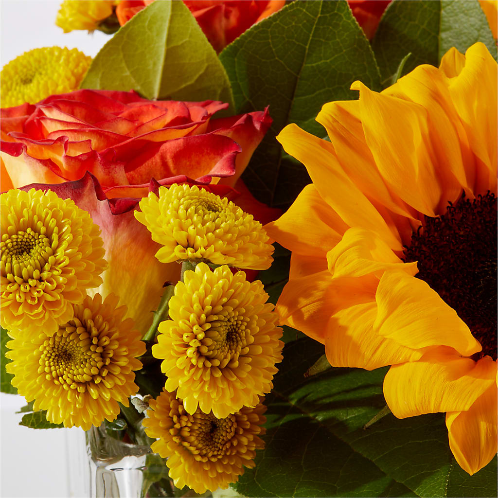Picnic in the Park Bouquet – FRY'S, Tolleson AZ