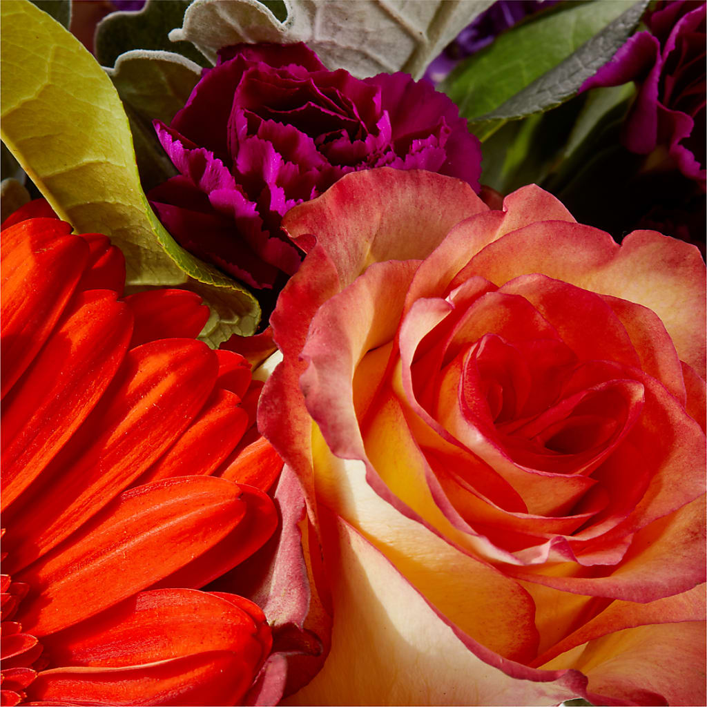 Sangria Bouquet – FRY'S, Tolleson AZ