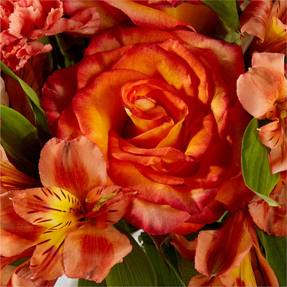 Apricot Glow Bouquet – FRY'S, Tolleson AZ