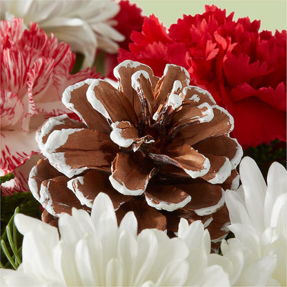 Candy Cane Lane Bouquet – FRY'S, Tolleson AZ