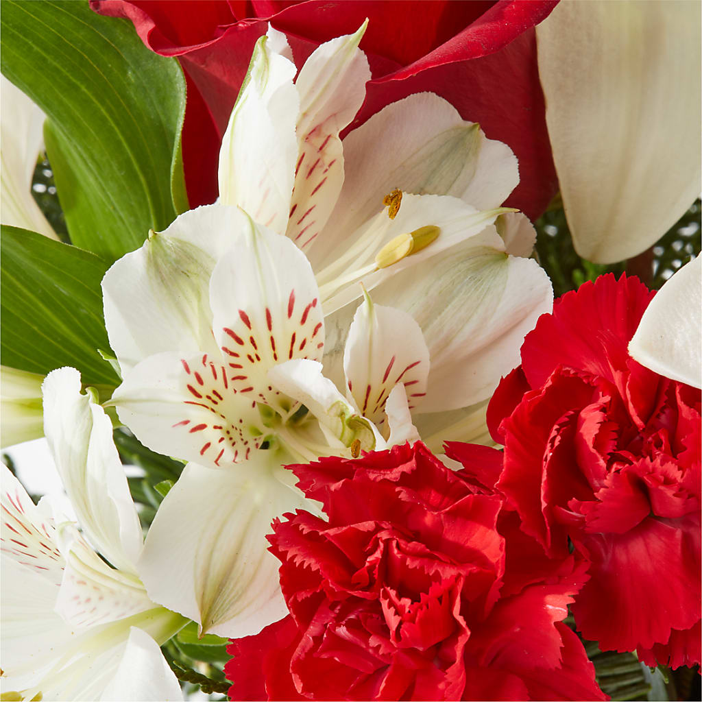 Holiday Season Bouquet – FRY'S, Tolleson AZ