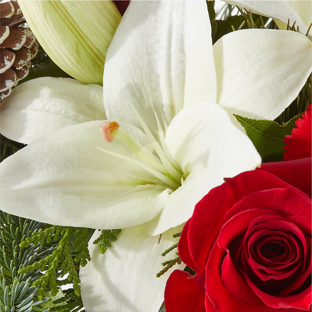 Oh So Jolly Bouquet – FRY'S, Tolleson AZ