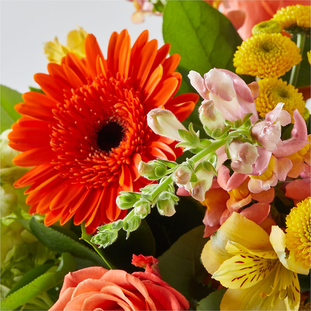 Autumn Sunshine Bouquet – FRY'S, Tolleson AZ
