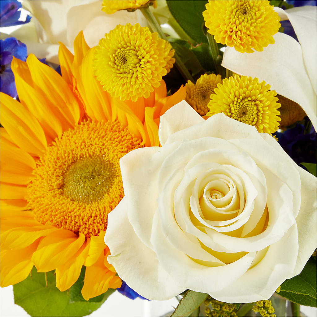 Stargazing Bouquet – FRY'S, Tolleson AZ