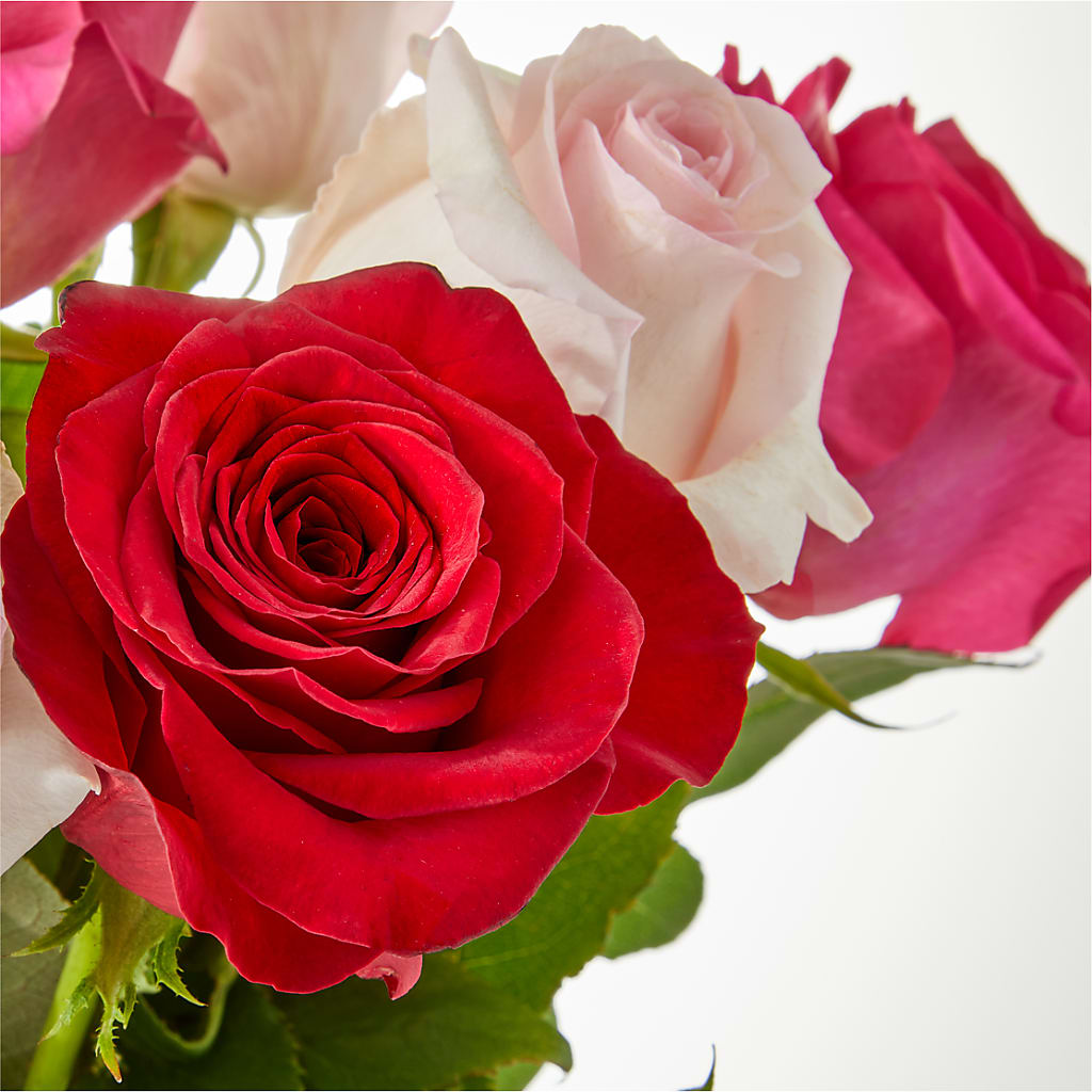 Charming Rose Bouquet – FRY'S, Tolleson AZ