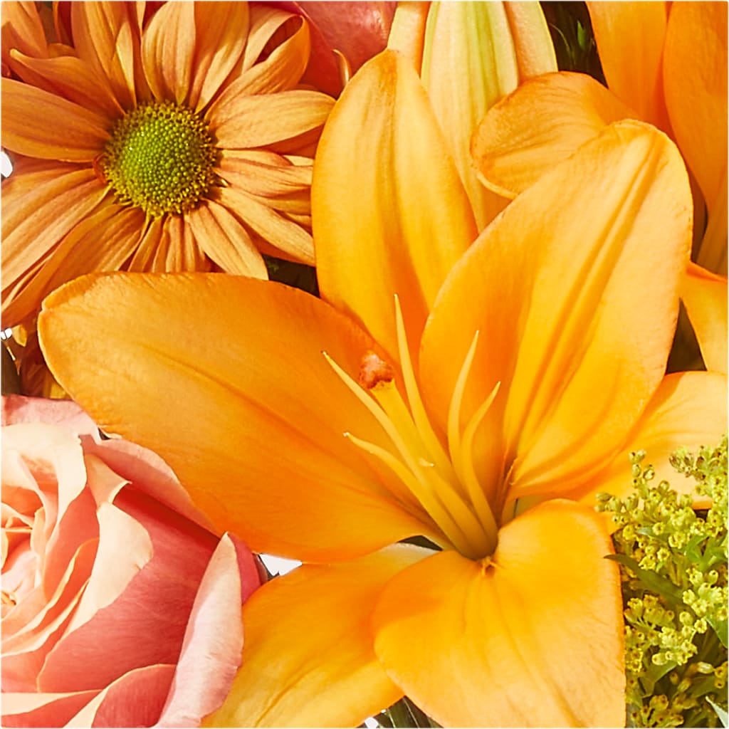 Harvest Hayride Bouquet – FRY'S, Tolleson AZ