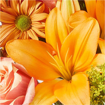 Harvest Hayride Bouquet – FRY'S, Tolleson AZ