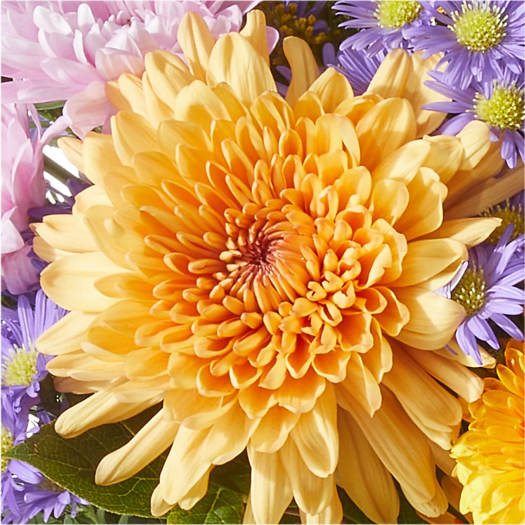 Countryside Bouquet – FRY'S, Tolleson AZ