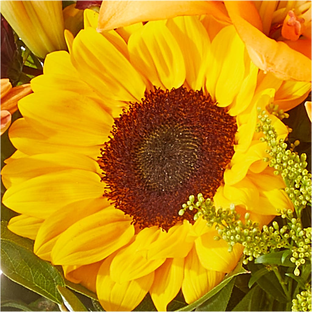 Seasons Change Bouquet – FRY'S, Tolleson AZ