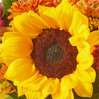 Sunny Side Bouquet – FRY'S, Tolleson AZ