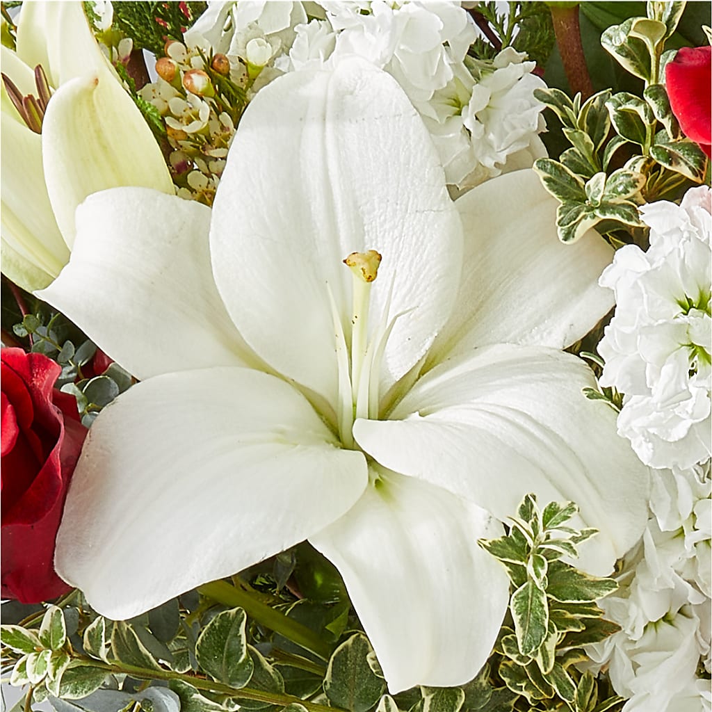 Twinkle Lights Bouquet – FRY'S, Tolleson AZ