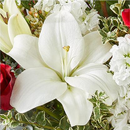 Twinkle Lights Bouquet – FRY'S, Tolleson AZ