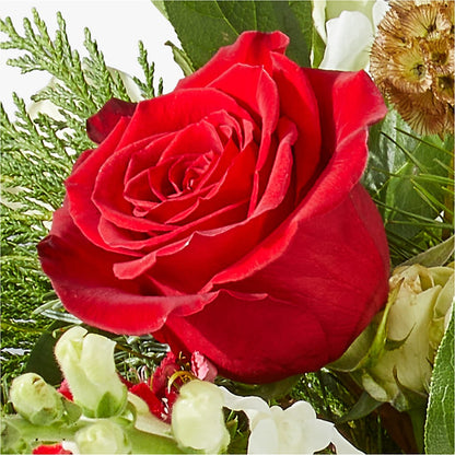 Deck the Halls Bouquet – FRY'S, Tolleson AZ